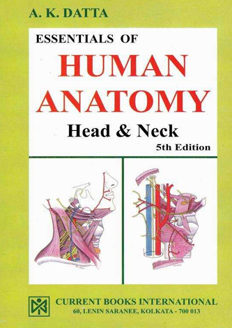 Essential of Human Anatomy,Head  & Neck