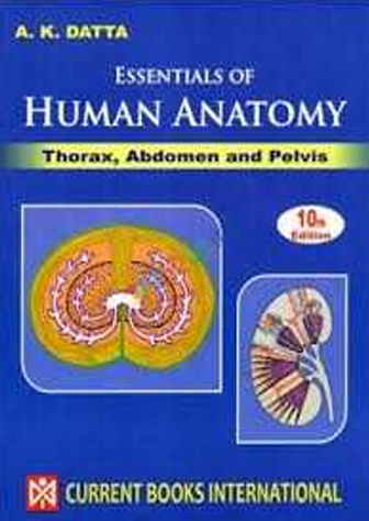 Essential of Human Anatomy,Voll-1